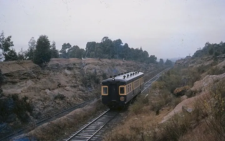 Not the end of the line for the South Maitland Railway